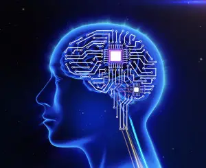 37652927 - computer circuit board in the form of the human brain